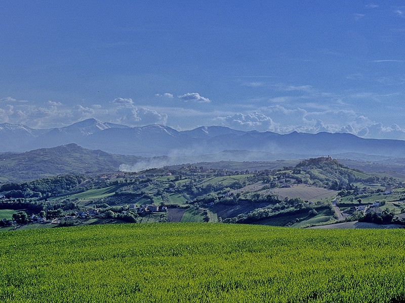 piceno landscape