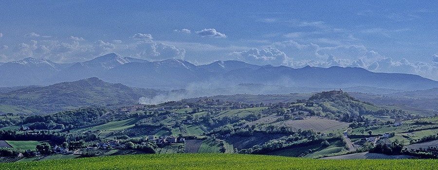 piceno landscape