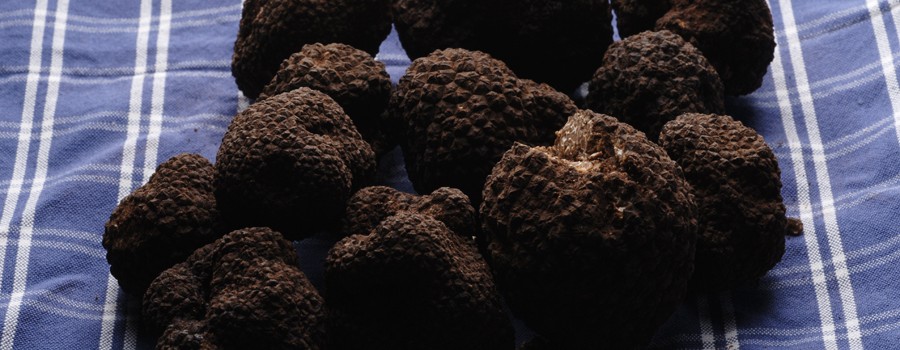 truffles force