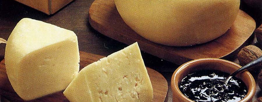 formaggio castignano