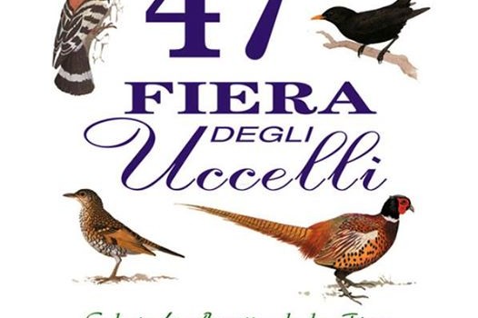 fiera degli uccelli comunanza